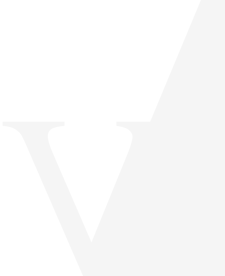 logo V