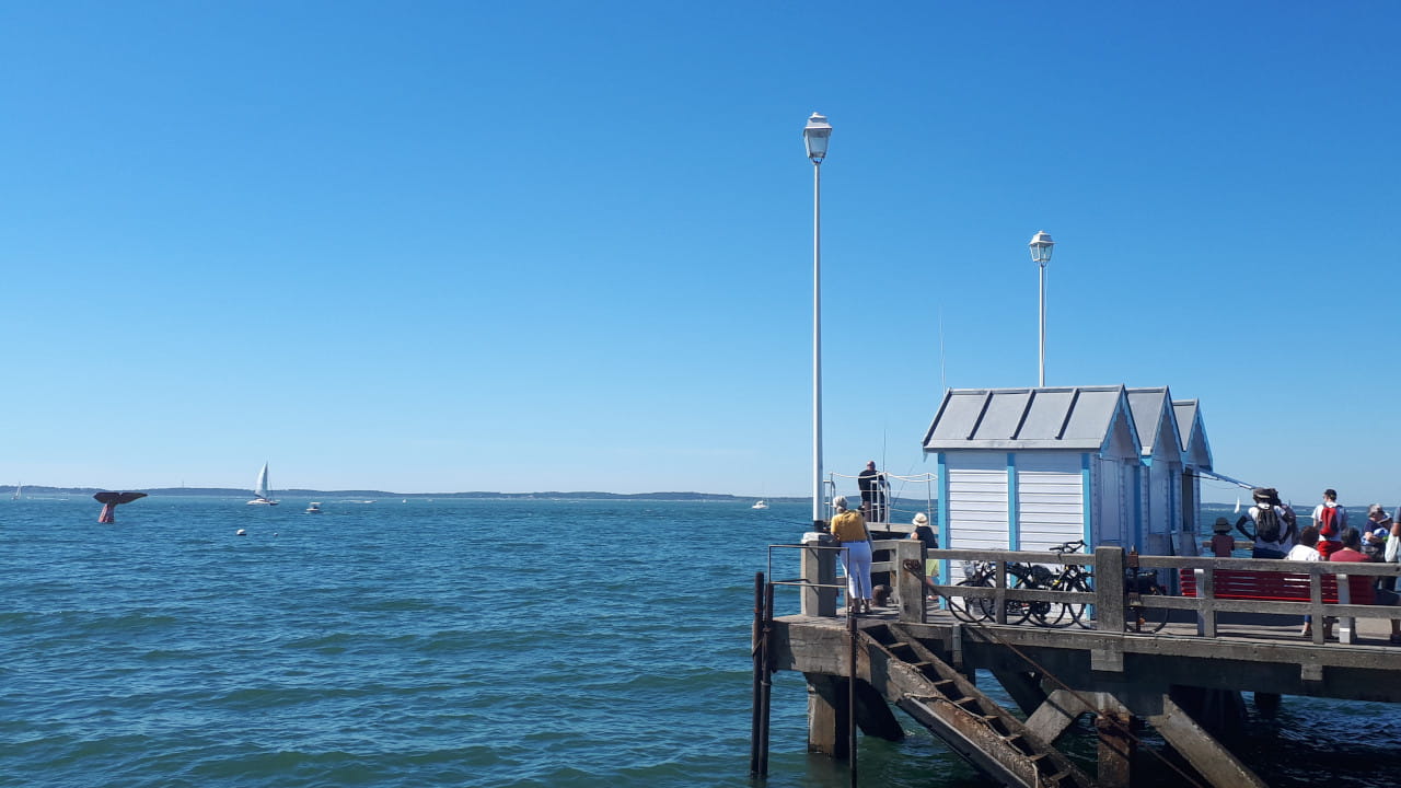 Le bassin d'Arcachon