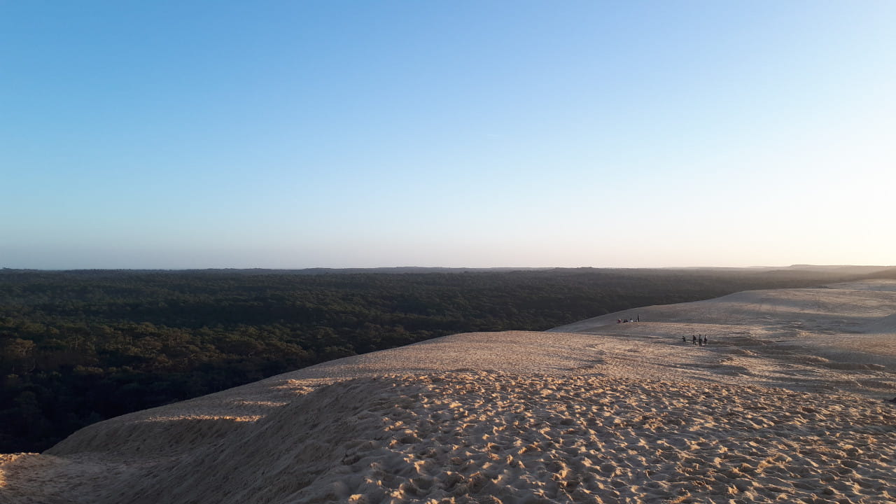 Le bassin d'Arcachon