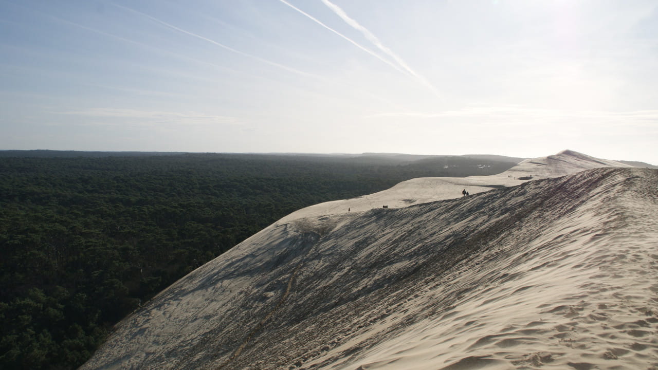 Le bassin d'Arcachon