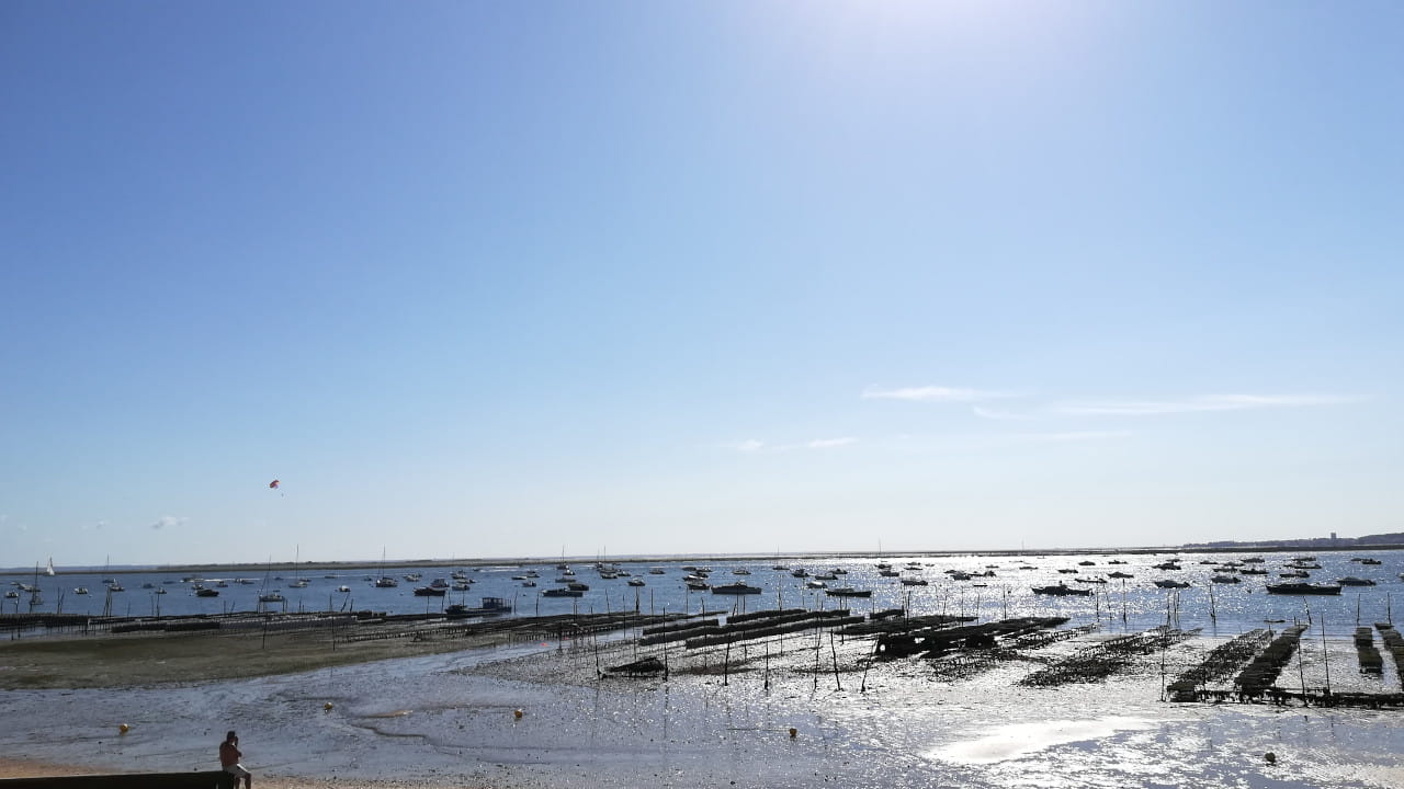 Le bassin d'Arcachon