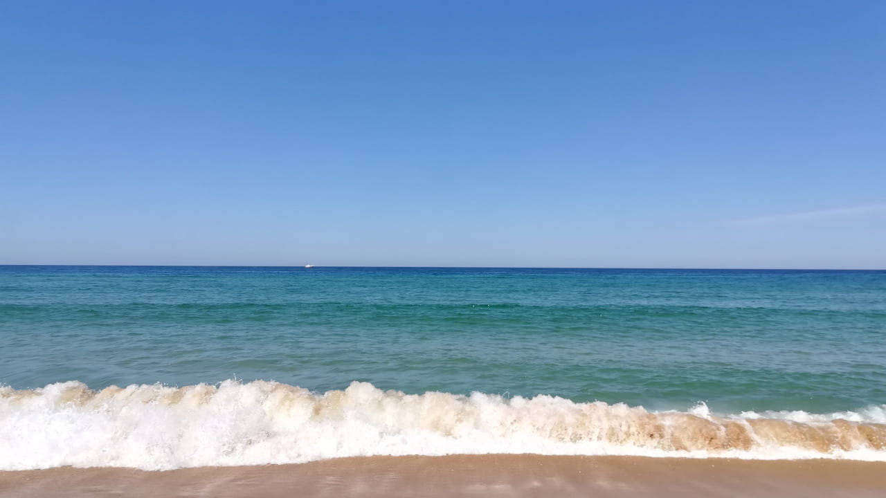 Le bassin d'Arcachon